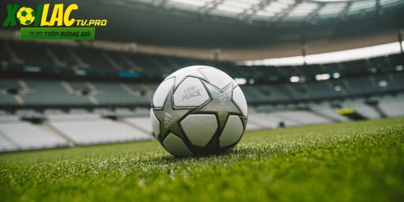 Kết quả là nội dung được nhiều người tìm kiếm sau khi lỡ trận